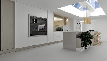 pro100-008