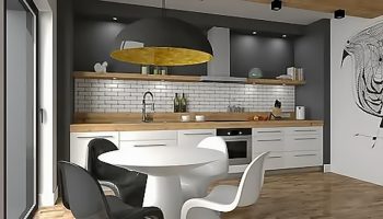 pro100-012
